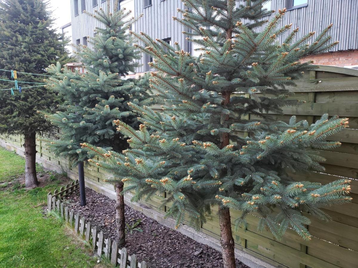 Apartament Aga13 Mikołajki Buitenkant foto